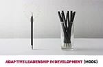 Adaptive Leadership in Development (MOOC)