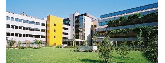 Best International MBA Programs