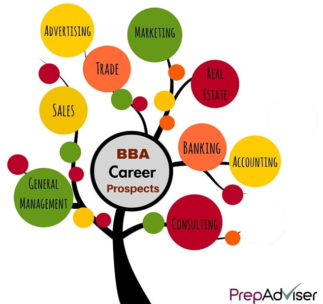 BBA Career Prospects